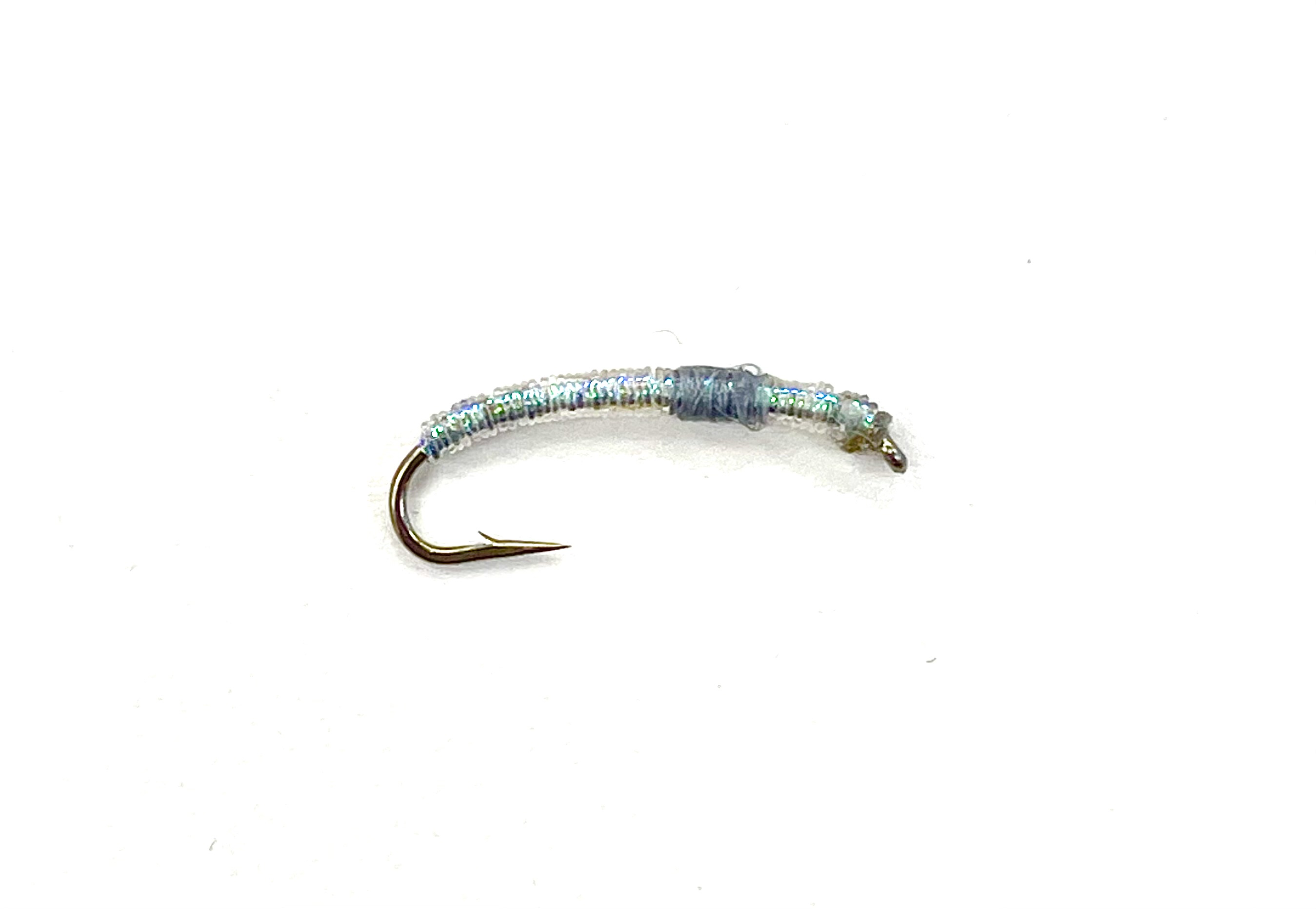 Chaoborus Larva